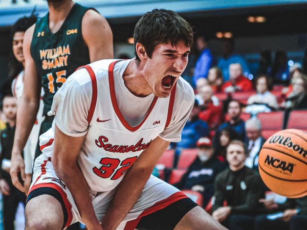 Stony Brook Seawolves men's basketball