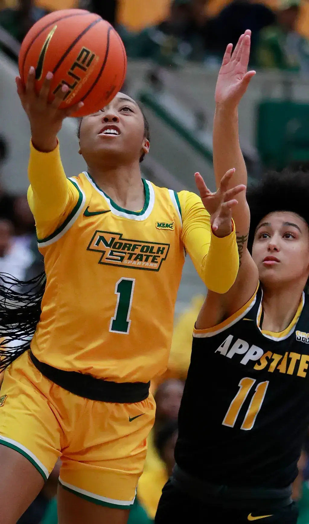 Norfolk State Spartans women's basketball